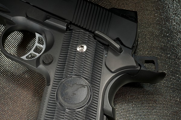 Nighthawk Custom RWA-8L